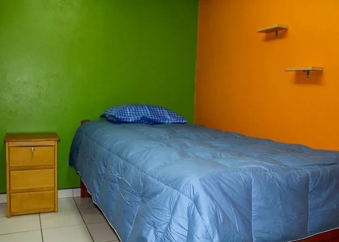 Coca House Cuzco